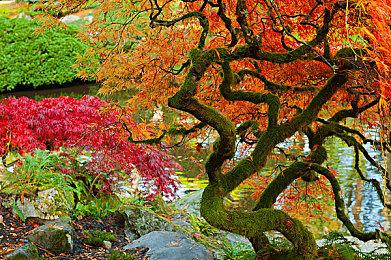 《使命召唤：战区》第五赛季新角色泄密 赛季或于8月12日开启