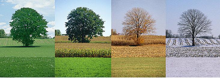 Capcom确认《生化危机2、3》光追将通过更新加回来