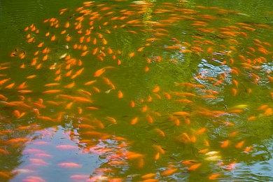 准备好驾驭战车：4X回合制策略游戏《罗马陨落》今日正式进入抢先体验！